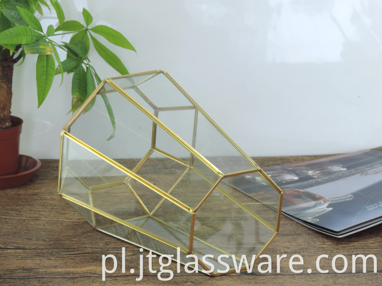 Home decoration Glass Geometric Terrarium 6